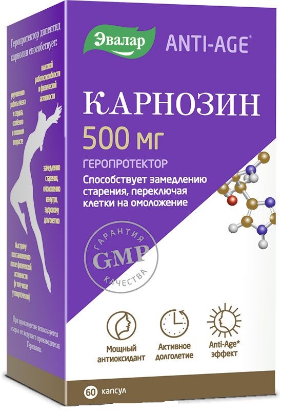 �������� ����. 500�� �60
